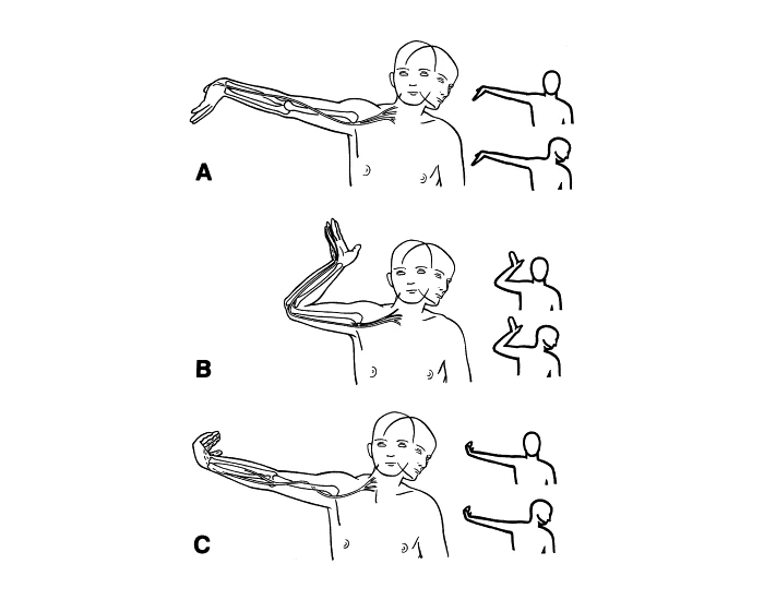 Quick Ultt ULTT Quiz