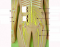 Nerve Model of Abdomen and Upper Legs