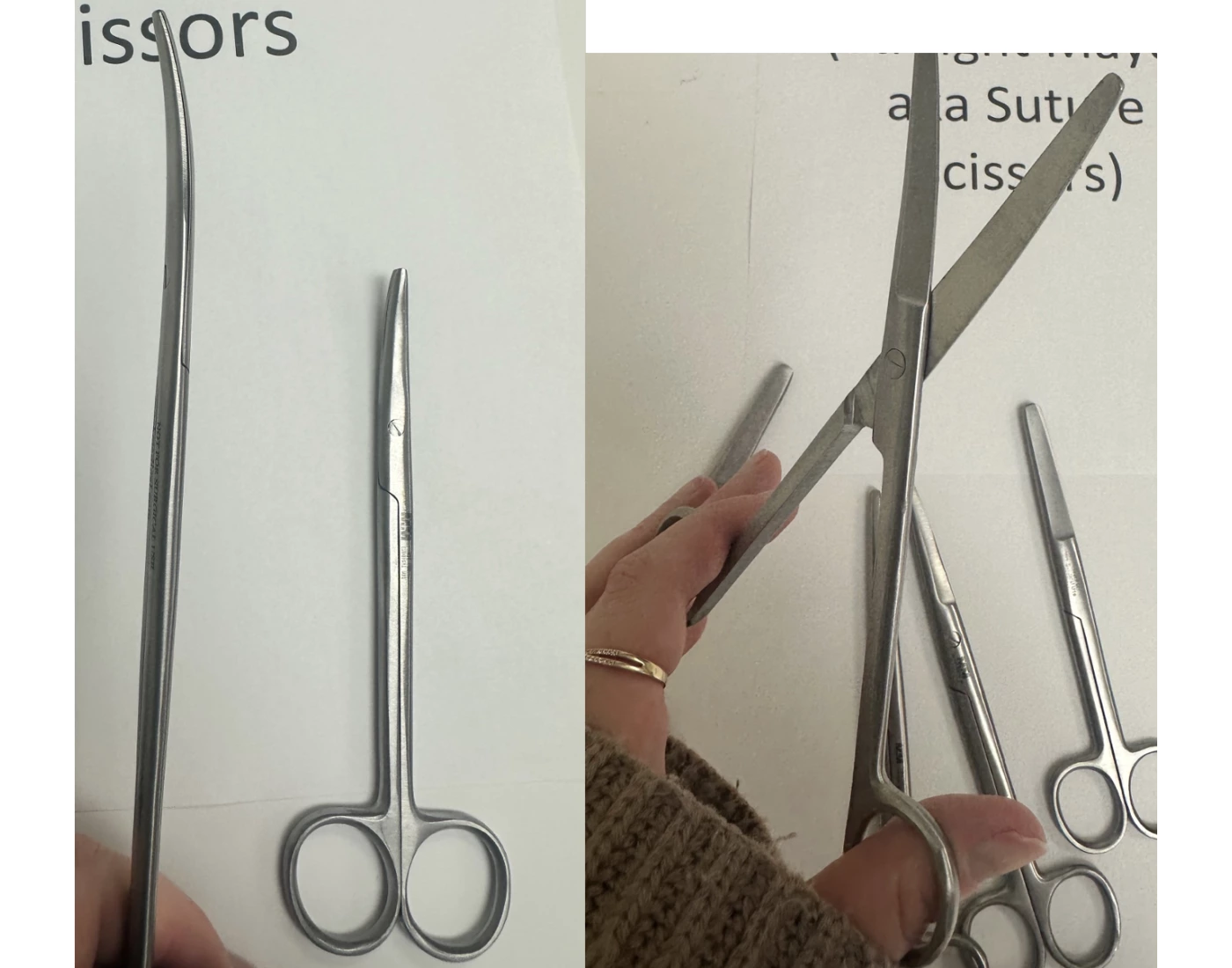 Scissors And Ronguers Testing Surgical Instruments Round 3 - Scissors Quiz
