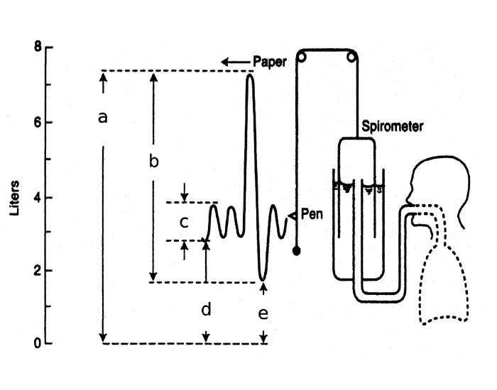 Spirometer Worksheet.pdf Spirometer vol. & capacities — Printable Worksheet