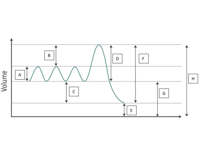 Respirometer Graph Labeled Spirometry Graph Label Quiz