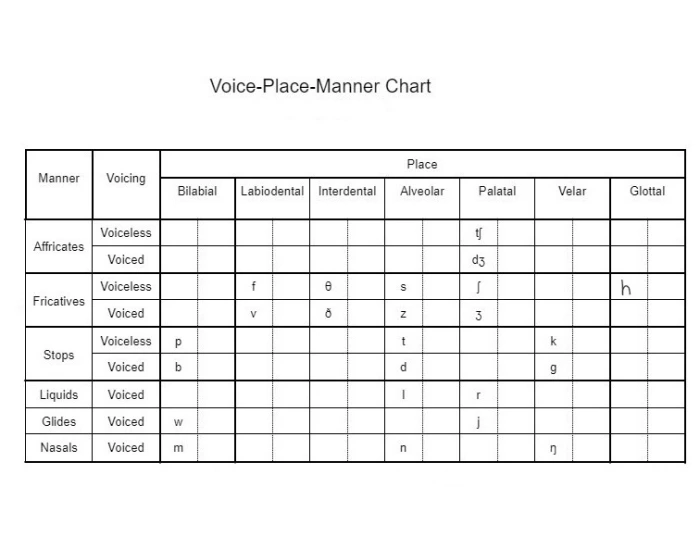 IPA voice, place, manner Quiz