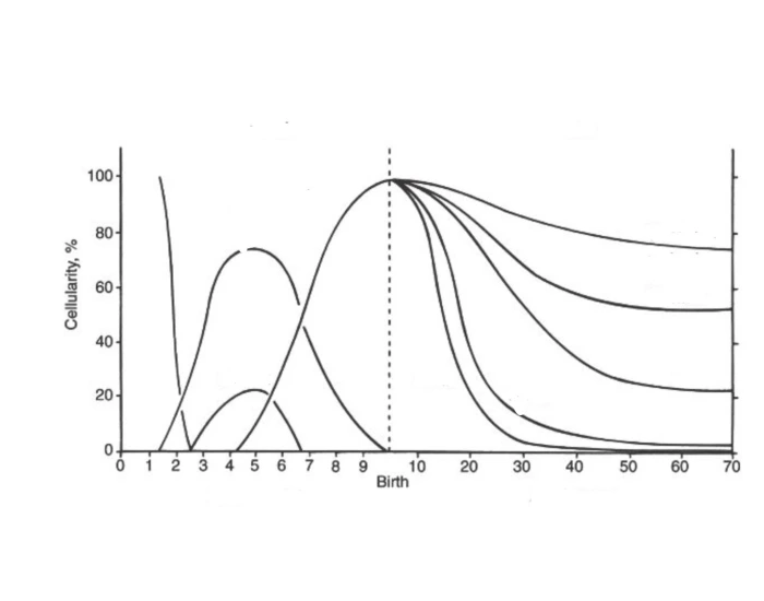 FASES HEMATOPOYESIS Quiz how-fast-can-you-touch-grass-in-every-mario-game-youtube