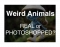 Weird Animals - Real or Photoshopped? Volume 3
