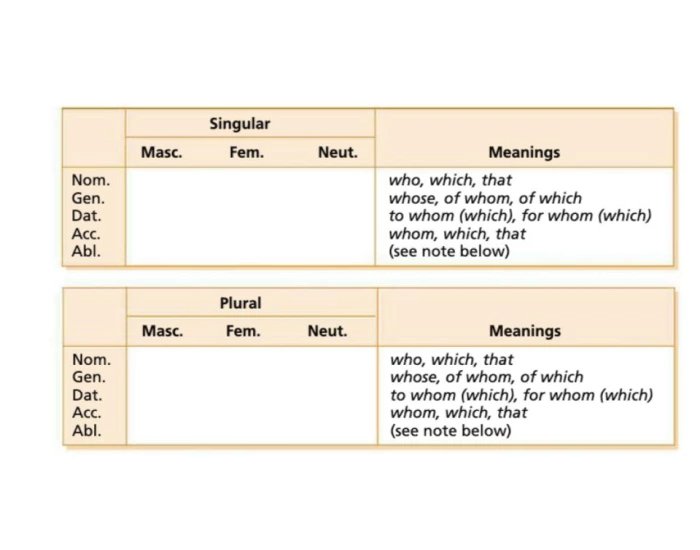 latin-relative-pronouns-quiz