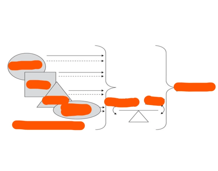 Systemisch Transactioneel ecologisch transactioneel model (Cichetti et al., Quiz