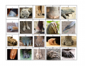 Can You Guess The Animal By Their Foot ?