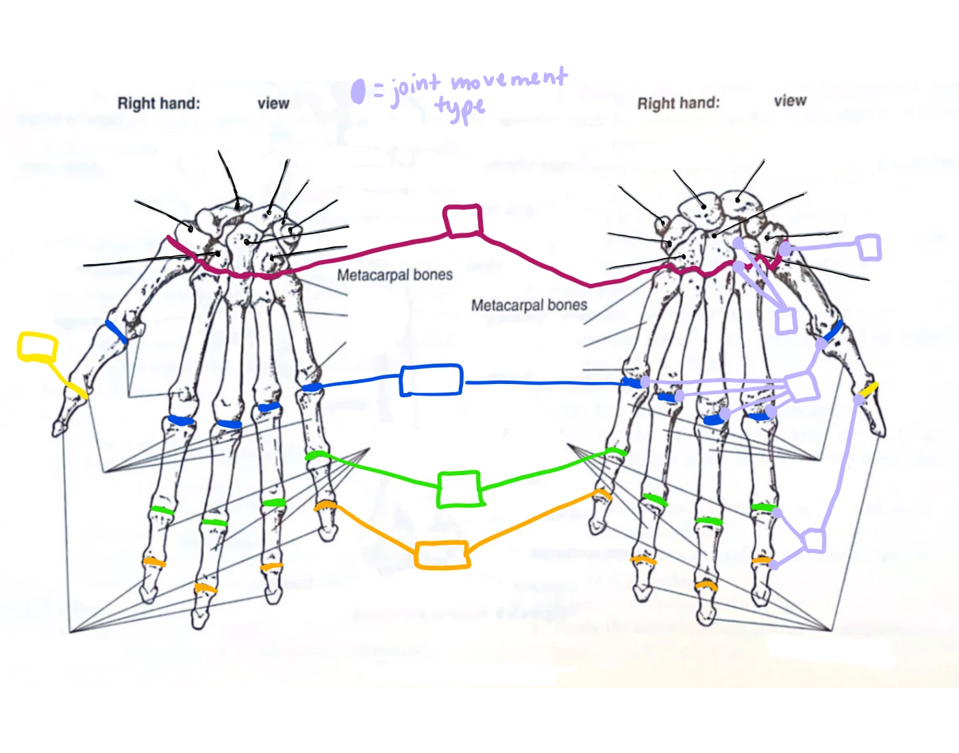 Hand Modifier Digram Wrist and Hand Diagram Quiz