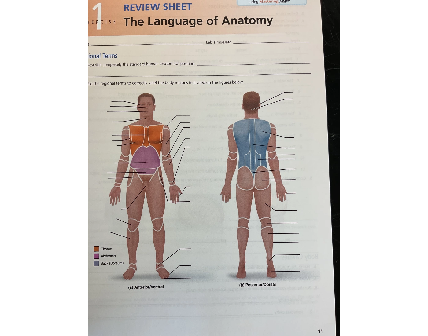 Anatomical position Quiz