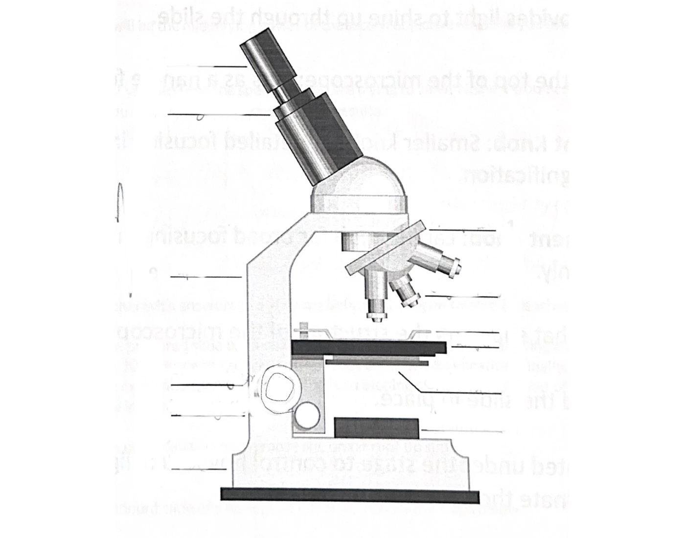 Biology Microscope Quiz