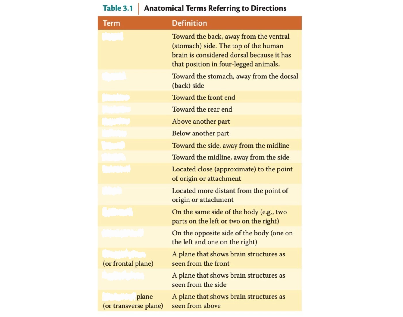 Anatomical directions definitions Quiz
