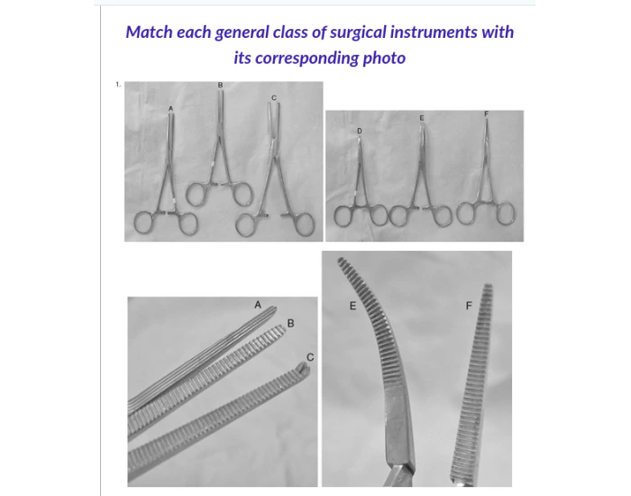 Arthur Instruments Match instrument match #3 Quiz