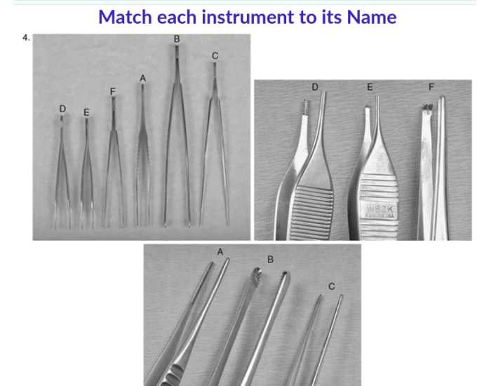 Arthur Instruments Match instrument match #2 Quiz
