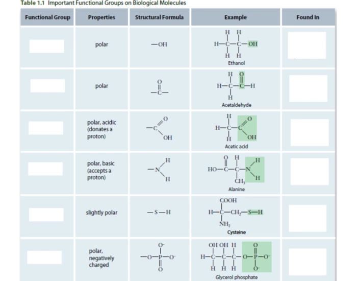 Function Bg Functional Group Table Quiz