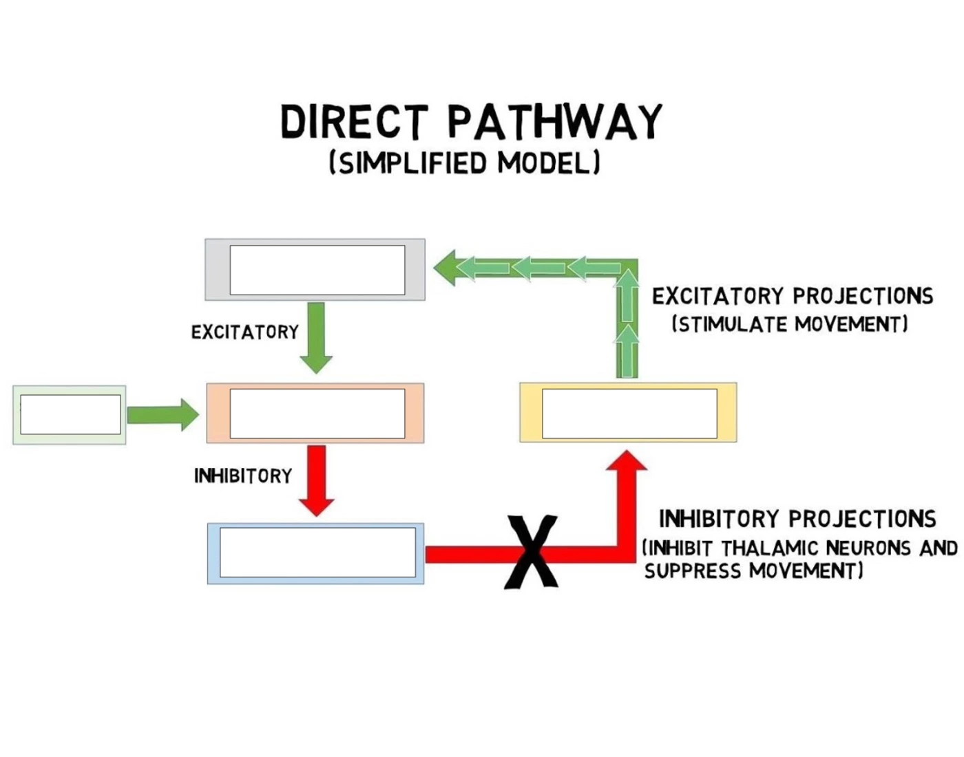 Direct Pathway — Printable Worksheet