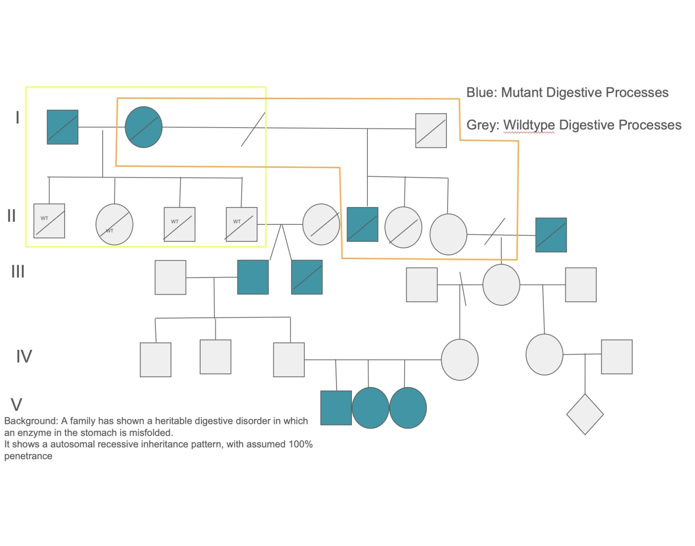 Pedigree Analysis Uni Genetics Quiz