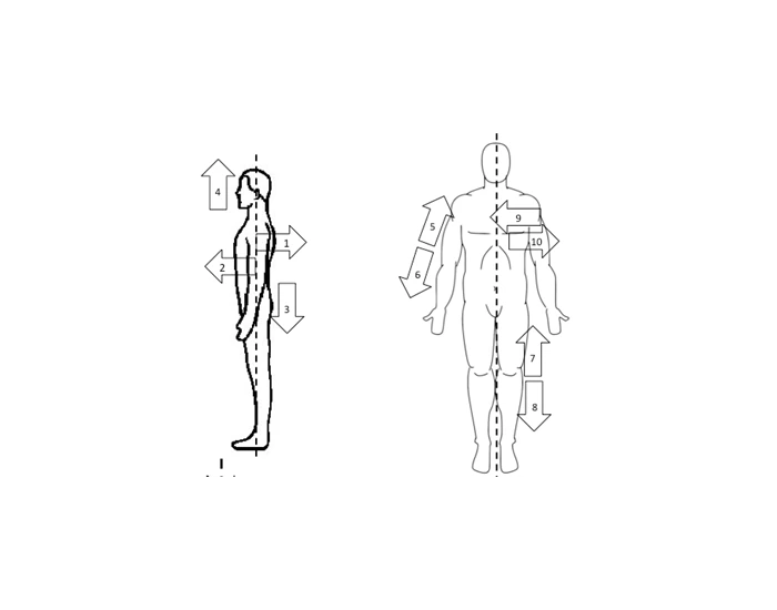 WMS Anatomical Directions Quiz